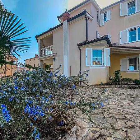 Lucy メドゥリン